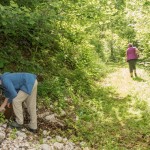 Sabine Schaffner, Ulrike G&uuml;del