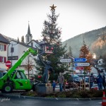 Werner Rudin (Lifterkorb), Mario Scherrer